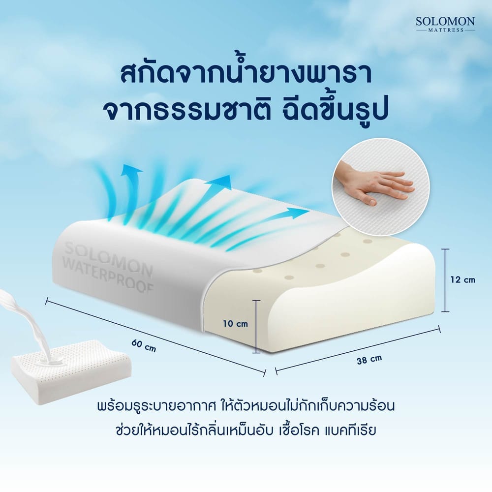 หมอนยางพารา SOLOMON ผ้ากันน้ำ รุ่น LATEX WATERPROOF_1